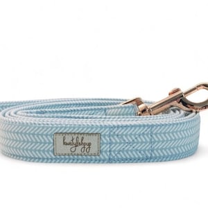 Blue dog leash, herringbone dog leash, boy dog leash, 6 ft pet leash, 5 feet dog lead, blue pet leashes, cute puppy leashes, blue pet lead