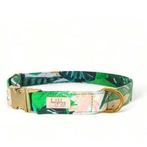 Monstera leaf dog collar, tropical dog collar, palm leaf pet collar, green puppy collar, boy dog collar, girl dog collar, cute puppy collar