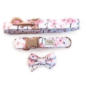 Cherry blossom dog collar and leash set, cute pet collar and lead, girl dog collar, boy dog collar, dog collar leash bow, cute puppy collar