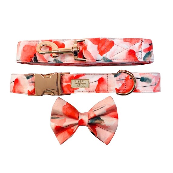 Poppy dog collar and leash set poppies dog collar girl dog Etsy