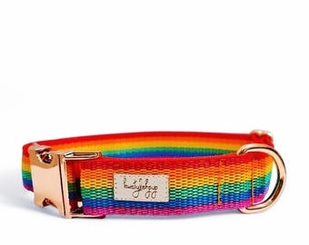 Rainbow Pride Dog Collar: Multicolored Pet Accessories