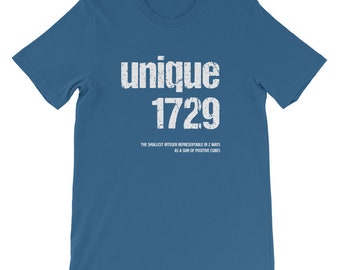 Unique Number 1729 Math T-Shirt