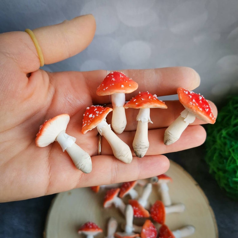 Mini mushrooms amanita muscaria mushroom miniature sensory Etsy
