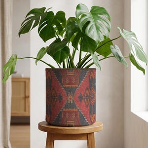 May include: A Monstera plant with large, green leaves in a cylindrical planter. The planter has a geometric pattern in red, black, and gold. The plant pot is placed on a small, round wooden stool.