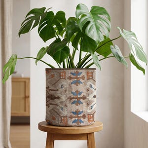 May include: A large potted Monstera plant with vibrant green leaves sits in a cylindrical planter. The planter features a beige, brown, and blue geometric pattern. The plant pot rests on a small, round wooden stool.
