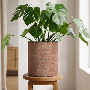 Op de afbeelding: Een Monstera-plant met grote, groene, gespleten bladeren in een cilindrische terracotta pot. De pot staat op een kleine, ronde houten kruk. De achtergrond is een interieur met neutrale tinten. De pot heeft een textuur.