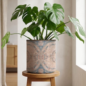 Könnte beinhalten: Eine Monstera-Pflanze mit großen, grünen Blättern in einem Topf mit Muster. Der Topf hat ein Vintage-Blumenmuster in Blau, Rosa und Beige. Er steht auf einem kleinen, runden Holzschemel. Der Topfdurchmesser beträgt ca. 30 cm.