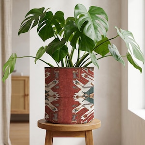 May include: A Monstera plant with large, green leaves in a cylindrical planter. The planter has a red and patterned design and sits on a small wooden stool. The background is a neutral, light-coloured wall.