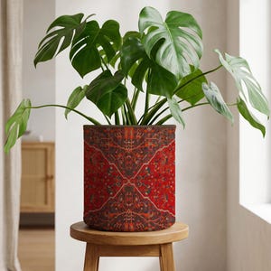 May include: A large potted Monstera plant with vibrant green leaves sits in a cylindrical planter. The planter features a red and brown patterned design, resembling a rug. The plant pot rests on a small, round wooden stool.