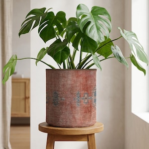 May include: A Monstera plant with large, green leaves in a cylindrical plant pot. The pot has a distressed red and blue pattern. It sits on a small wooden stool. The background is a neutral-toned interior.