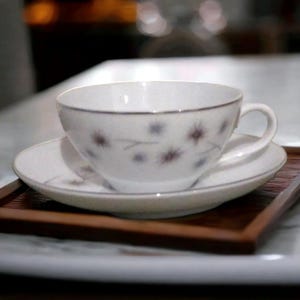 Creative Platinum Starburst Fine China Tea Cup & Saucer Set Japan MCM Service for 6
