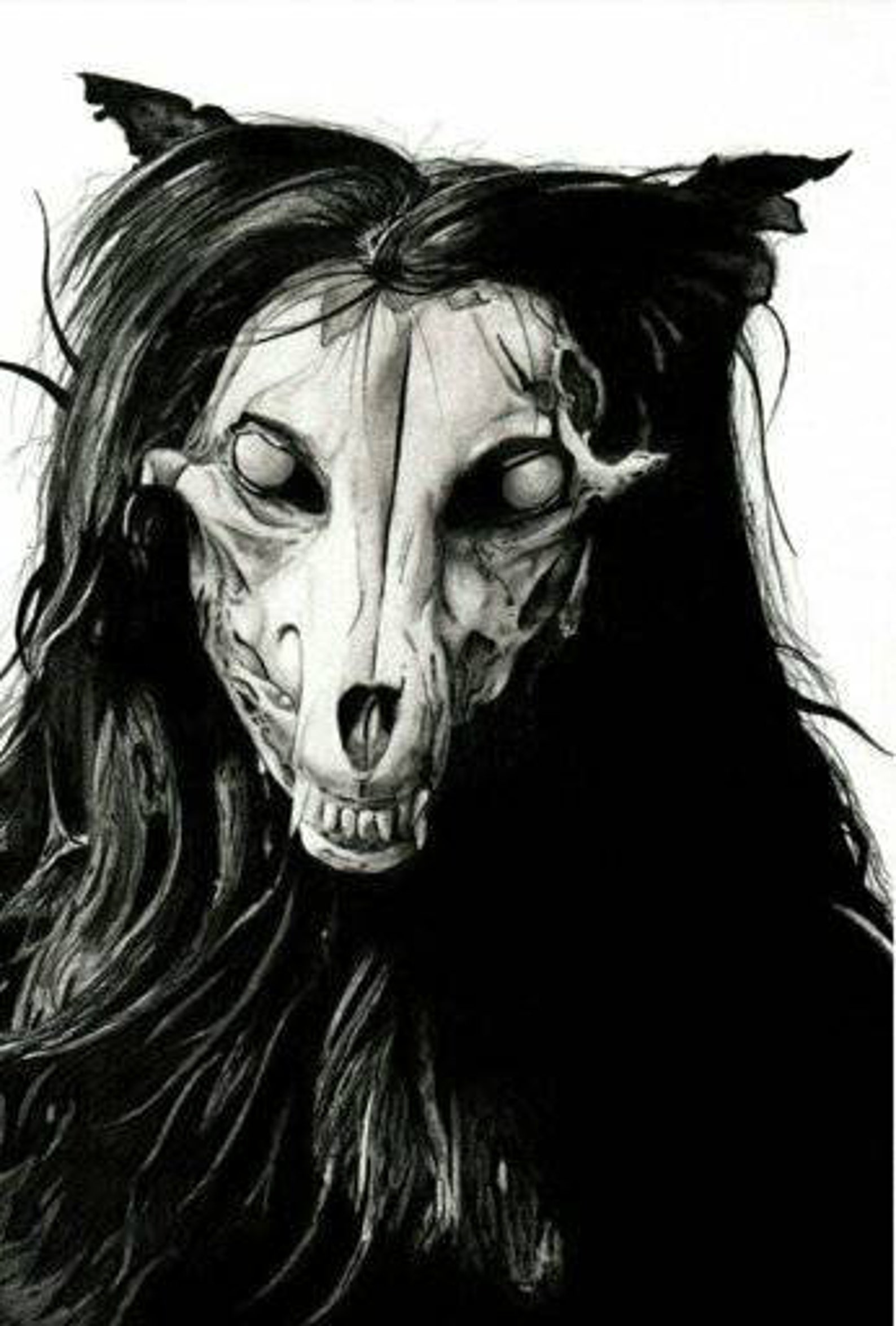 SCP-1471-A mask wolf skull mask skull faced zombie werewolf image 0.