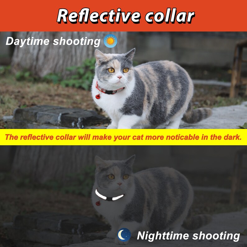 cat reflective
