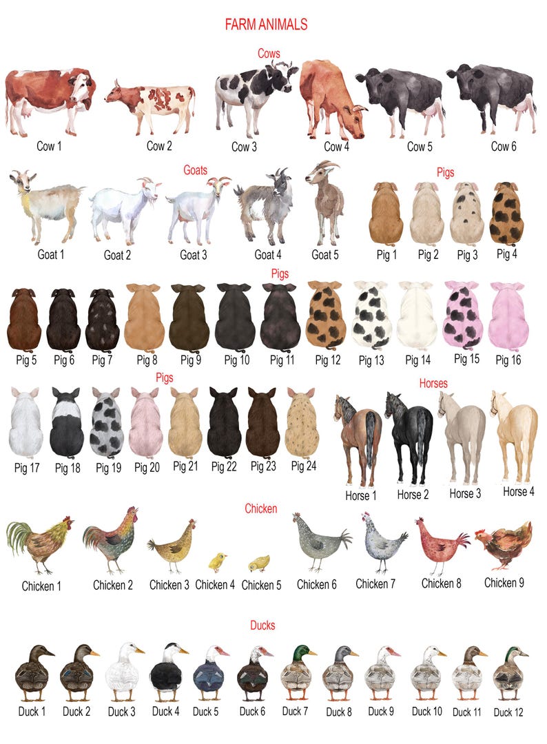 Regalo de técnico veterinario, regalo de veterinario, impresión veterinaria personalizada, nunca olvides la diferencia que haces, regalo veterinario personalizado, regalo para veterinario imagen 5