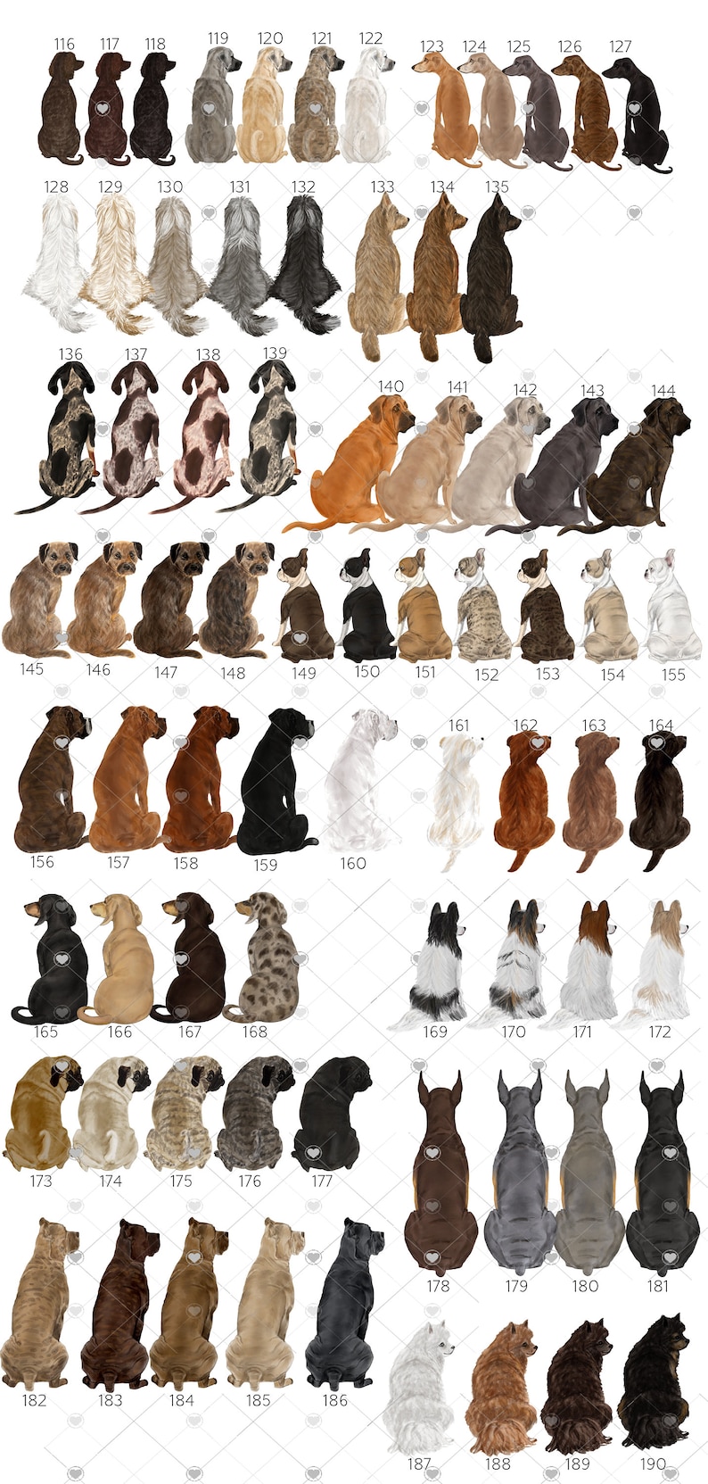 Puede incluir: Un gr&aacute;fico de 190 razas de perros diferentes, cada una ilustrada en un estilo de dibujos animados, sentadas en fila. Los perros est&aacute;n todos mirando en la misma direcci&oacute;n, con sus colas enroscadas detr&aacute;s de ellos. El gr&aacute;fico est&aacute; numerado del 116 al 190.
