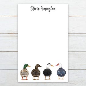 May include: White stationery with the name "Olivia Kensington" in black script at the top. Four watercolor duck illustrations are at the bottom, each with unique plumage and colors, including green, brown, black, and blue.