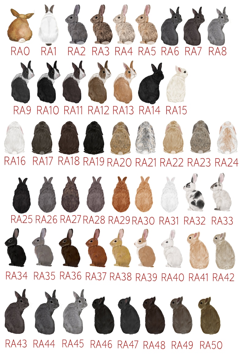 Puede incluir: Una colecci&oacute;n de 50 im&aacute;genes ilustradas de conejos en varios colores y poses. Los conejos est&aacute;n todos mirando al espectador y tienen la cola levantada. Las im&aacute;genes est&aacute;n dispuestas en filas de 9 o 10, con cada conejo etiquetado con un c&oacute;digo.
