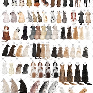 Puede incluir: Una ilustraci&oacute;n digital de 115 perros y 2 caballos, todos sentados y mirando al espectador. Los perros son de varias razas y colores, y los caballos son marr&oacute;n y negro. La ilustraci&oacute;n est&aacute; numerada del 1 al 115, con cada n&uacute;mero correspondiente a un perro o caballo diferente.