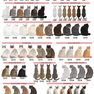Puede incluir: Un gr&aacute;fico de 164 razas de gatos diferentes, cada una con una ilustraci&oacute;n &uacute;nica de un gato sentado. El gr&aacute;fico est&aacute; organizado por nombre de raza e incluye un c&oacute;digo para cada raza, como CA1, CA2, CA3, etc.
