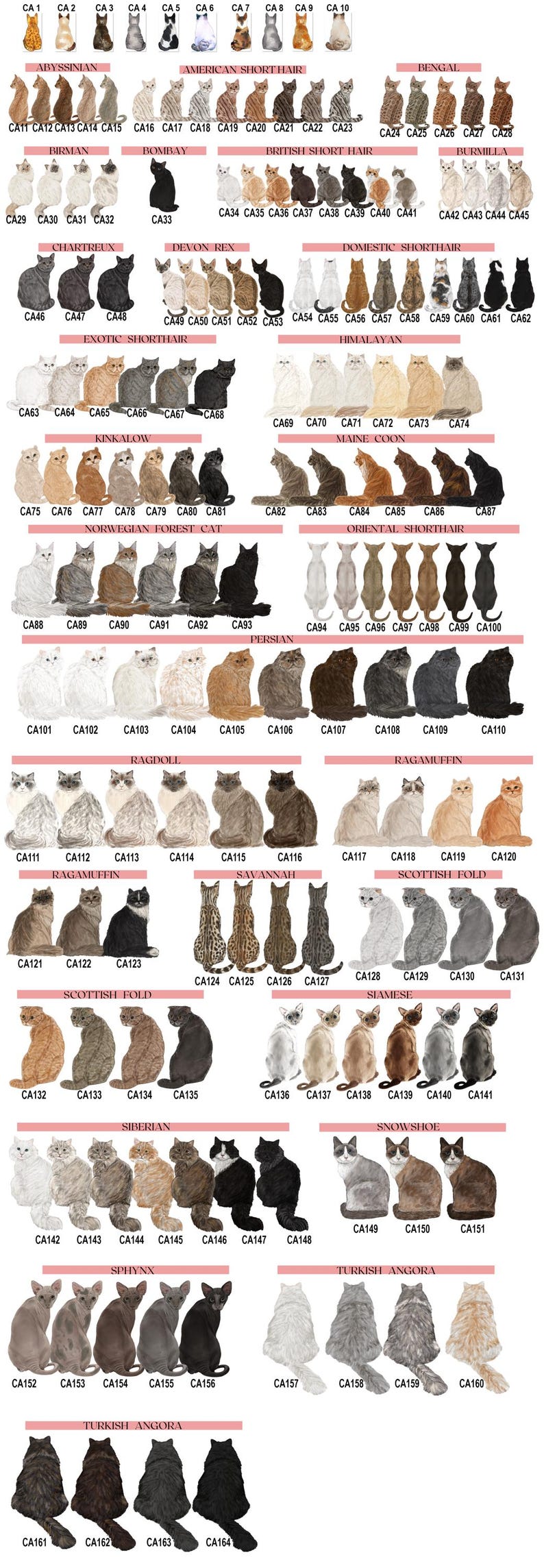 Puede incluir: Un gr&aacute;fico de 164 razas de gatos diferentes, cada una con una ilustraci&oacute;n &uacute;nica de un gato sentado. El gr&aacute;fico est&aacute; organizado por nombre de raza e incluye un c&oacute;digo para cada raza, como CA1, CA2, CA3, etc.