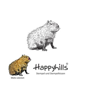 Capibara timbro capibara, porcellino d'India, roditore, bello, Sud America, divertente animale preferito, carino, da Happyhills