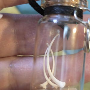 May include: A small, clear glass bottle with a cork stopper and a black cord. Inside the bottle are two white wishbones. The bottle is held in a person's hand.