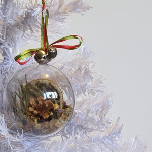 Könnte beinhalten: Ein transparenter Glaskugelschmuck mit einem grün-rot-weißen Band und silbernen Glöckchen. Im Inneren des Schmucks befinden sich getrocknete Pflanzen, darunter eine Kiefernzapfen, Blätter und Blumen.