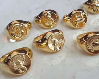 Unisex Solid Silver Zodiac Pinky Signet Ring Chunky Gold Ring Simple Thick Thumb Ring Lion Libra Aries Aquarius Ring Personalized Gift