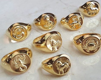 Bundle of 5 Astrology Rings Zodiac Ring Gold Signet Ring Pinky Ring Thumb Ring Lion Ring Libra Aries Aquarius Ring Whimsigoth Jewelry