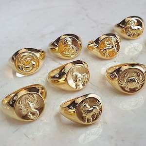 Bundle of 5 Astrology Rings Zodiac Ring Gold Signet Ring Pinky Ring Thumb Ring Lion Ring Libra Aries Aquarius Ring Whimsigoth Jewelry image 1