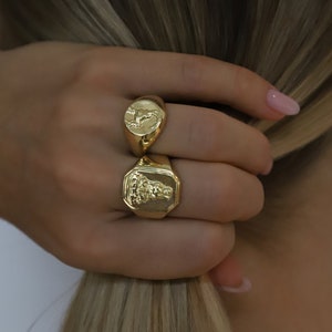 zodiac signet ring, pinky ring, thumb ring