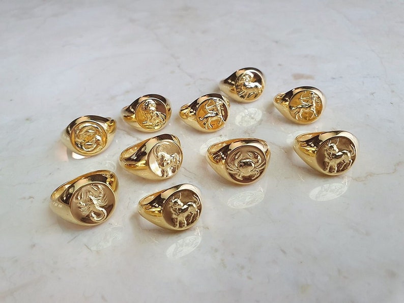 Bundle of 5 Astrology Rings Zodiac Ring Gold Signet Ring Pinky Ring Thumb Ring Lion Ring Libra Aries Aquarius Ring Whimsigoth Jewelry image 1