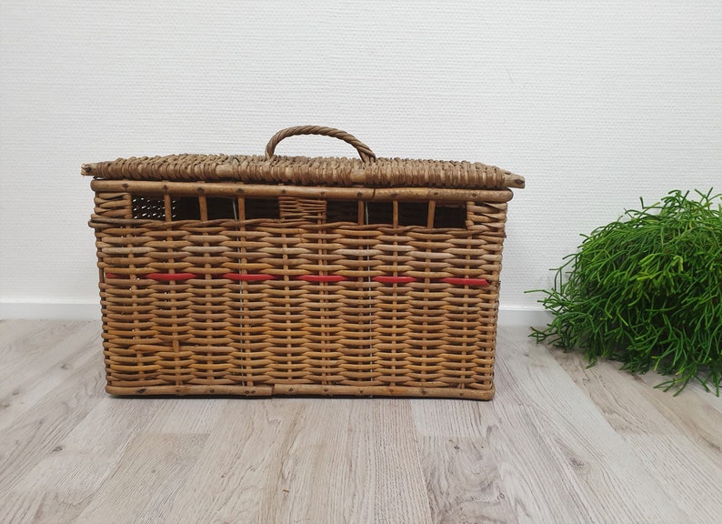 Antique Handmade Reed Wicker Pigeons / Bird Basket Wicker Etsy