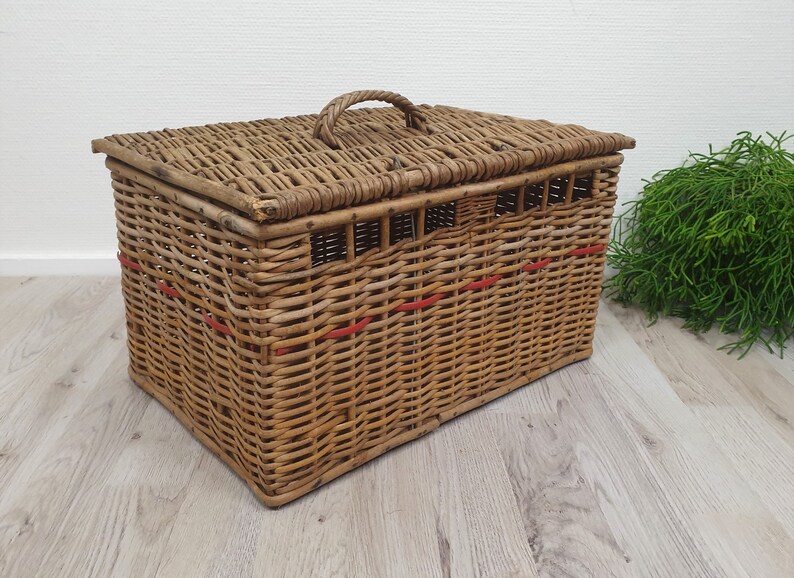 Antique Handmade Reed Wicker Pigeons / Bird Basket Wicker Etsy