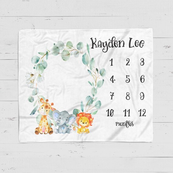 baby boy milestone blanket