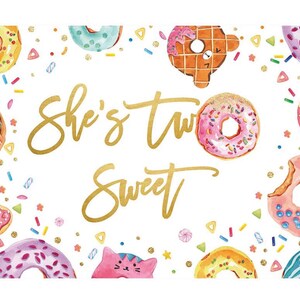 Donut Two Sweet Backdrop, Donut She is Two Sweet Banner, Girl&#39;s Second Birthday Donuts Sprinkles Confetti Photography Background Sign