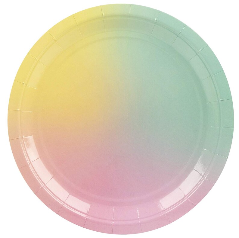 Ombre Party Tableware Serves 24 Paper Plates Cups Napkins Etsy