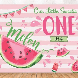 One in a Melon Backdrop Girl Watermelon 1st Birthday Vinyl Photo Background 7x5ft Our Little Sweetie in One in a Melon Banner Backdrops
