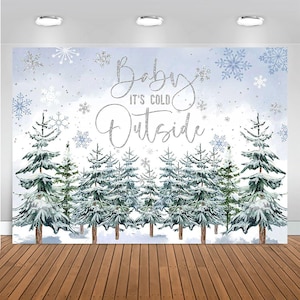 May include: A winter wonderland backdrop with a snowy forest scene and the text "Baby It's Cold Outside" in silver glitter lettering. The backdrop is perfect for a winter-themed photo shoot.