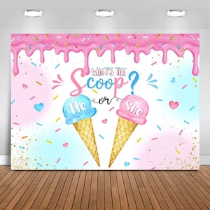 Ice cream Gender Reveal Backdrop, What's The Scoop Vinyl Photo Background 7x5ft, Summer Ice Cream He or She Gender Reveal Banner Backdrops