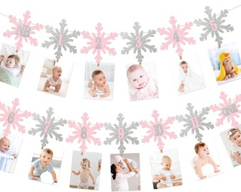 Winter ONEderland Photo Banner, Girls Pink and Silver Snowflakes Winter Wonderland Milestone Banner, Snowflakes Monthly Photo Banner