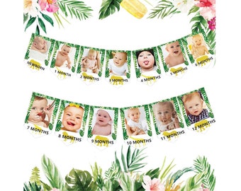 Wild One Photo Banner, Jungle Gold Monthly Photo Banner Safari First Birthday Photo Banner, Wild One Party Decorations