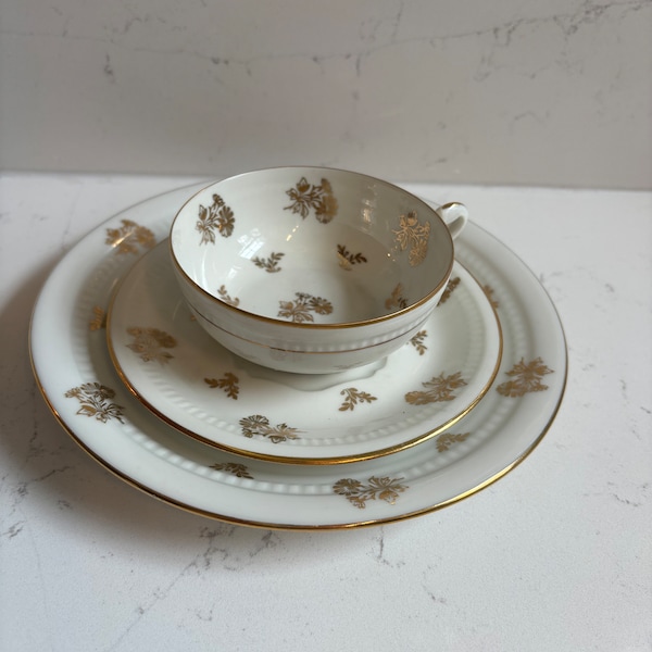 Antique Limoges porcelain Teacup saucer and dessert plate.