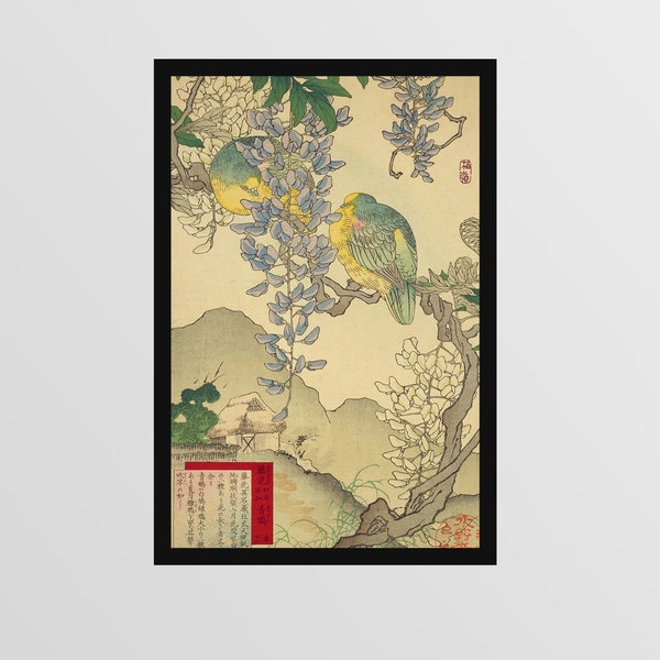 Japanese wood block print Wisteria and Green bellied pigeons dated 1883 Bairei kacho gafu Spring 12 printed on premium art paper