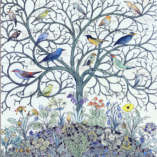 Tree of life art print - Songbirds  Exotic birds - Arts and Crafts design - Vintage reproduction wall decor