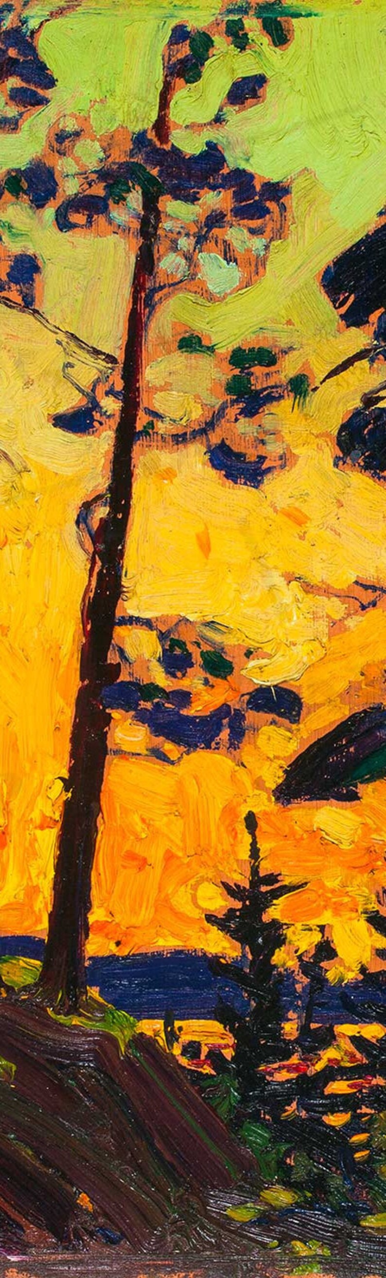 Tom Thomson Print Canadian Art Pine Trees at Sunset 1914 Etsy