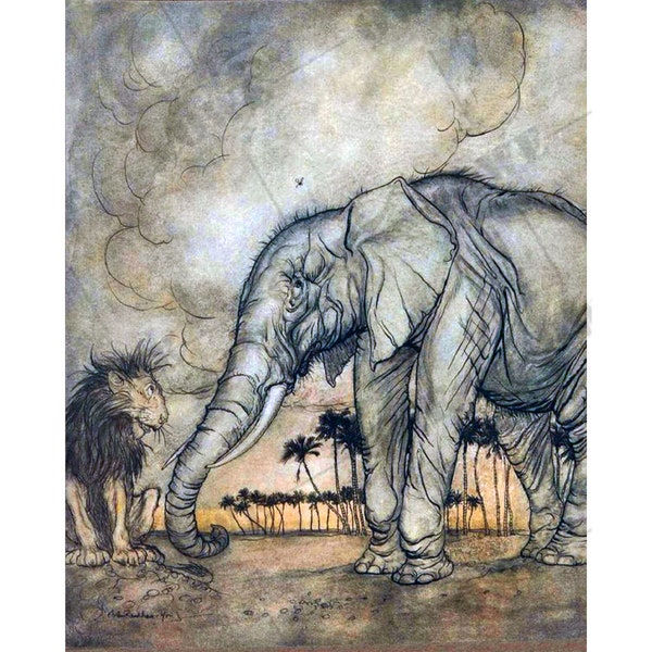 Arthur Rackham  illustration from Aesop's fable of "The Lion and The Elephant"