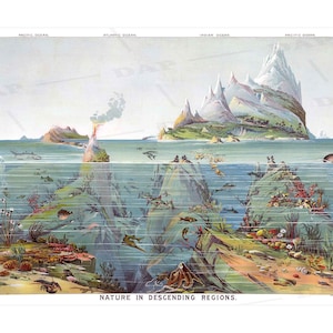 レヴィ・ウォルター・ヤギーのポスター「下降する地域の自然」1893年
