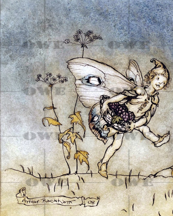 レア♡フェアリーアーティスト妖精を描くための洋書♡リンダ ラベンス