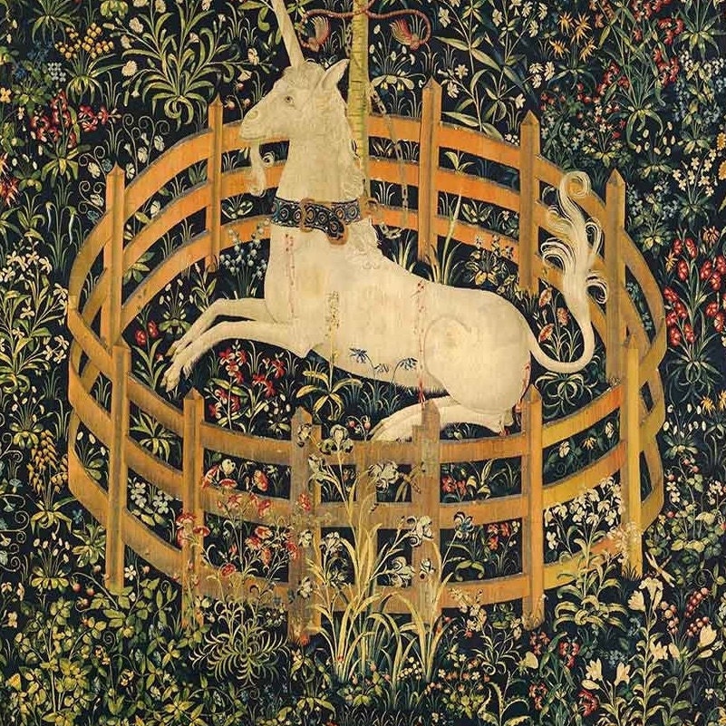 The unicorn in captivity print hotsell